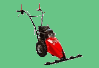 1031